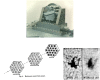 Figure 10: