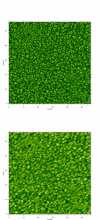 Figure 15: