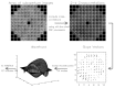 Figure 14: