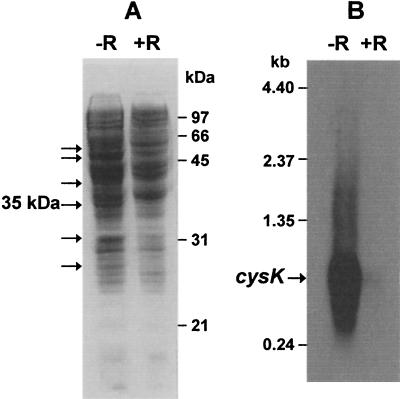 FIG. 10.