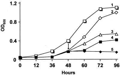 FIG. 9.