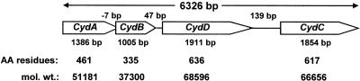 FIG. 1.