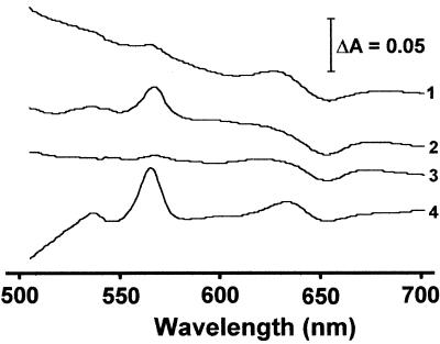 FIG. 8.