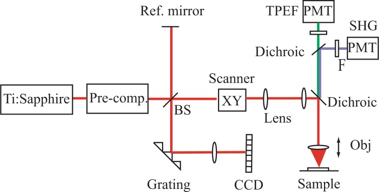 Fig. 4