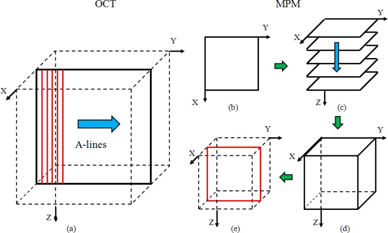 Fig. 1