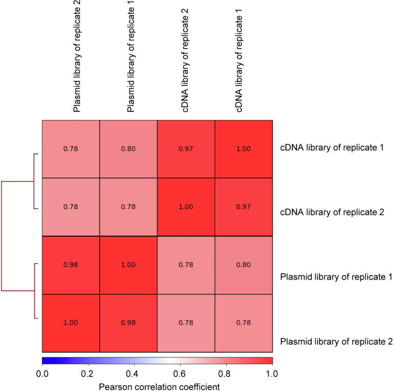 Supplementary Figure S4