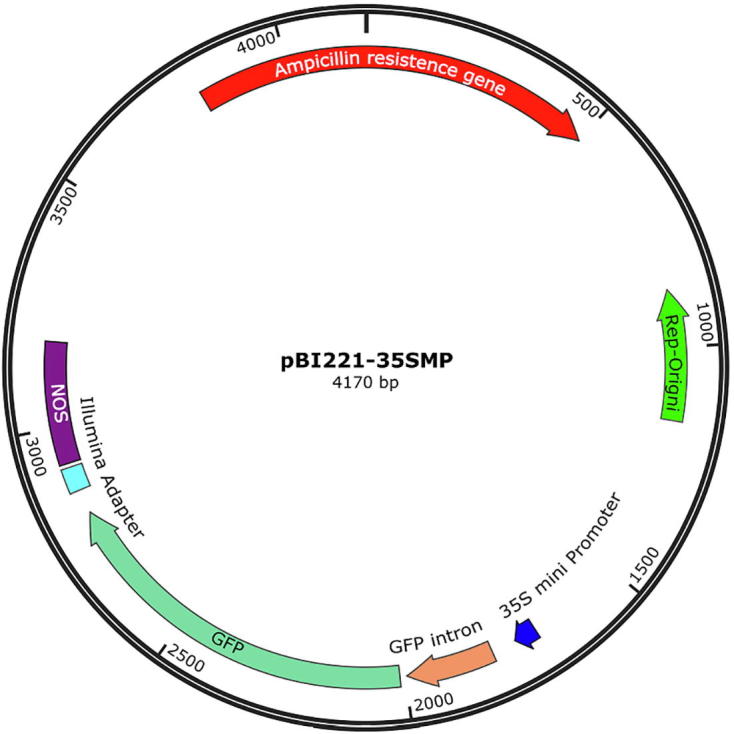 Supplementary Figure S12