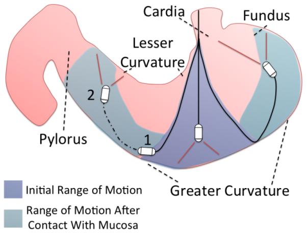 Fig. 5