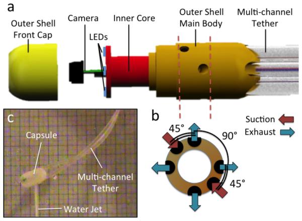 Fig. 2