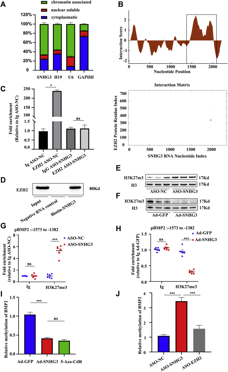 Figure 6