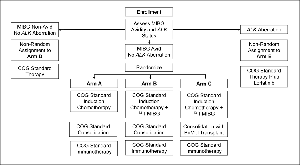 Figure 2 –