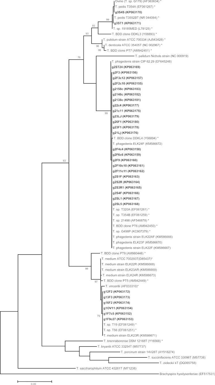 FIG 1