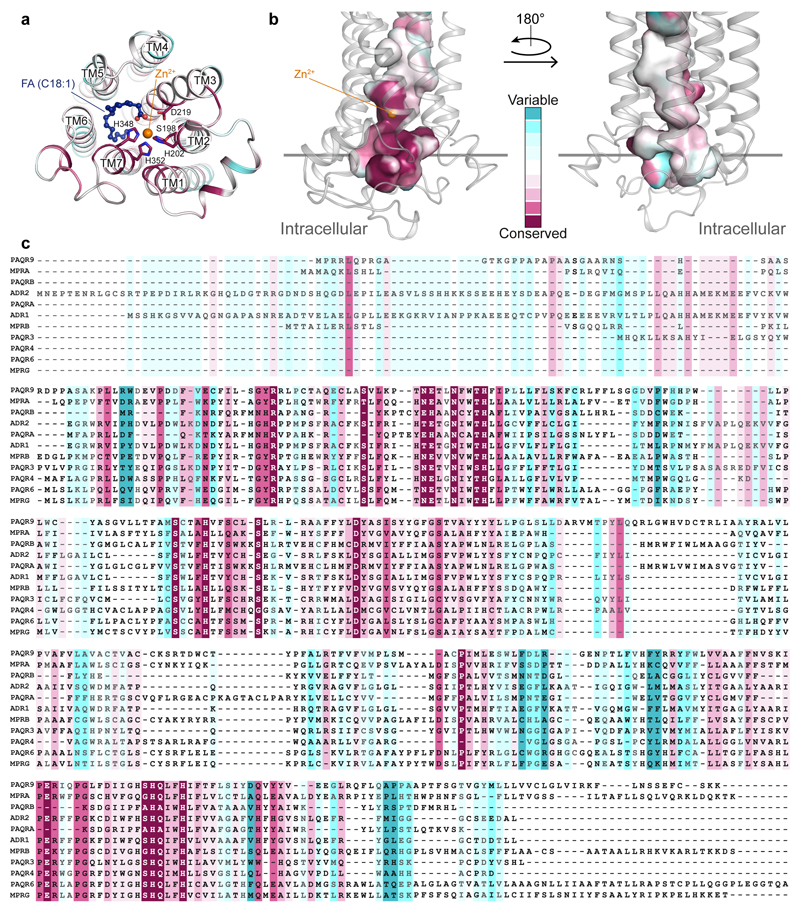 Extended Data Fig. 6