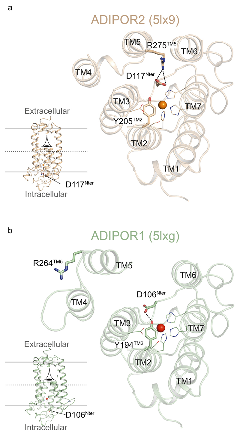 Extended Data Figure 8