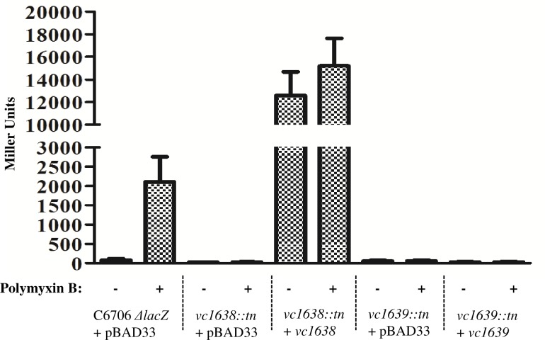 Fig 5