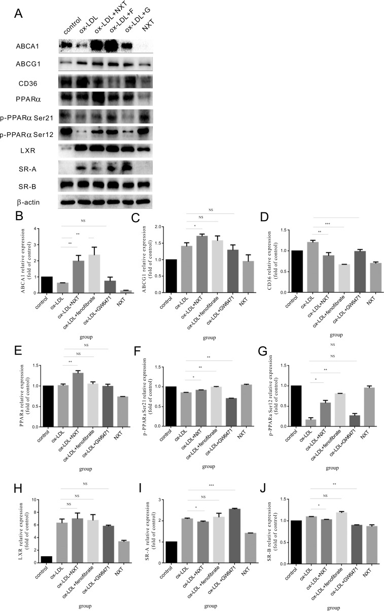 Fig. (4)