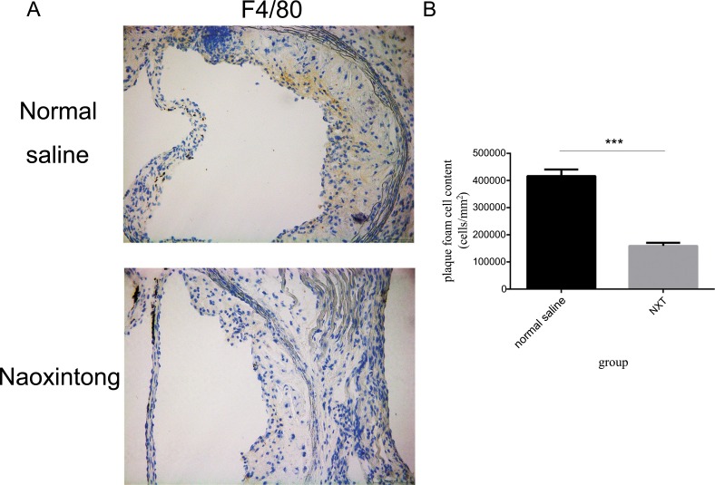 Fig. (1)