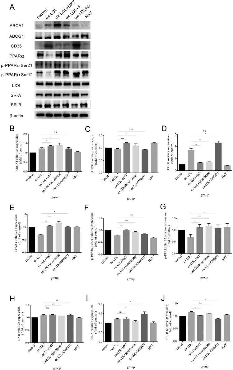 Fig. (3)