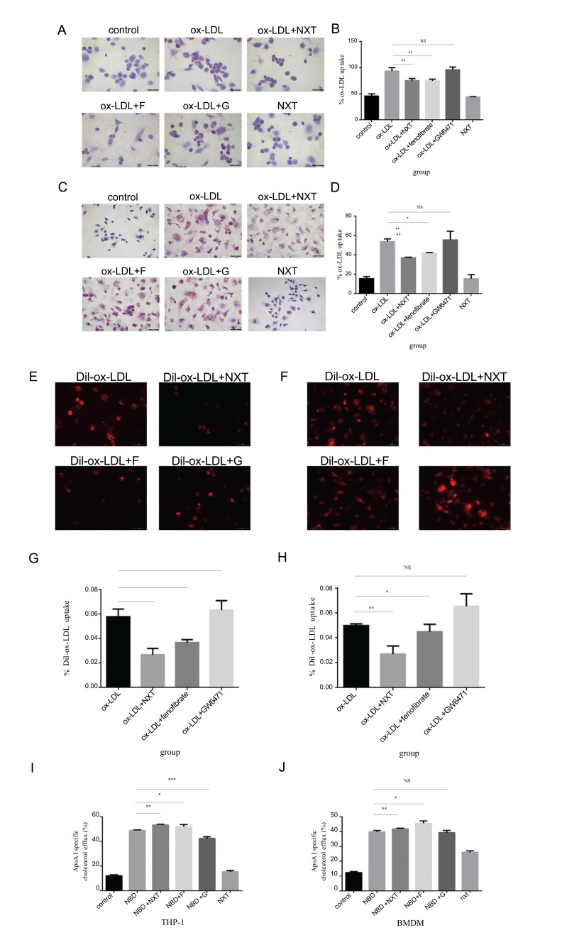 Fig. (2)