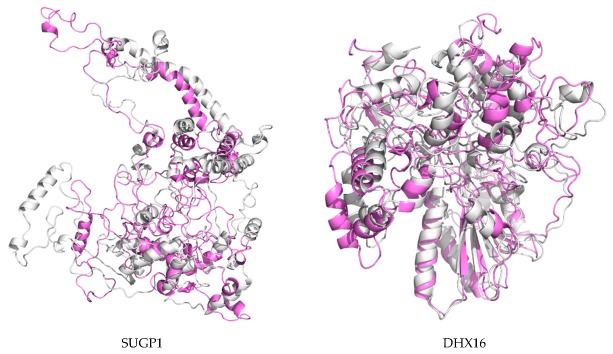 Figure 7