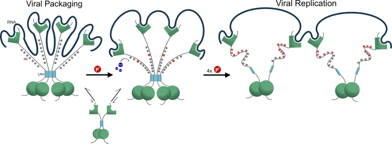 Figure 6