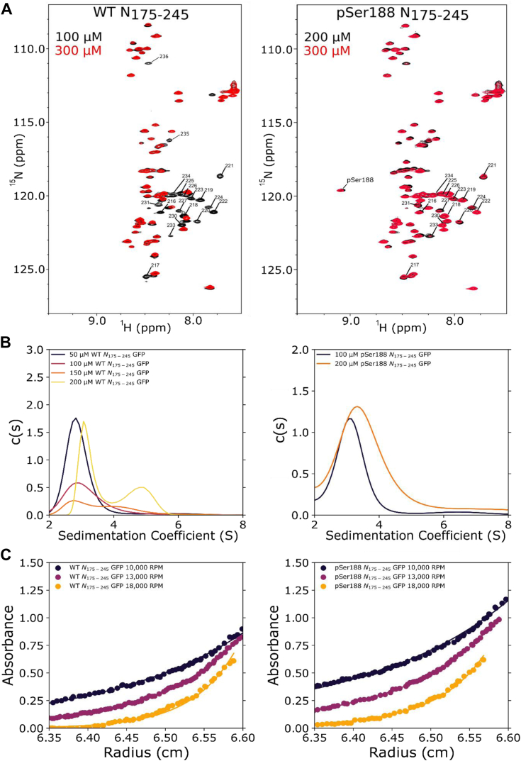 Figure 3