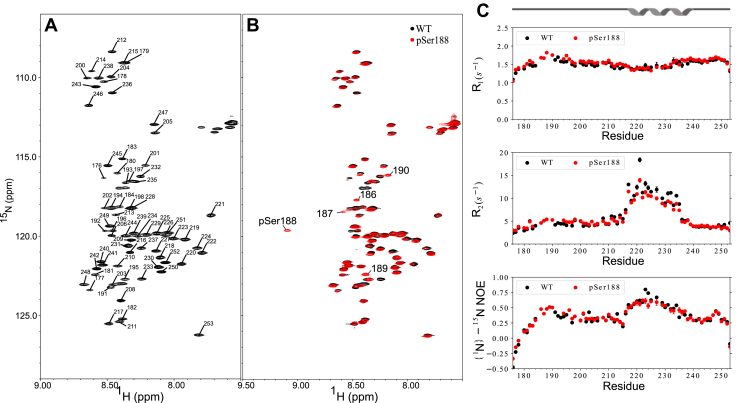 Figure 2