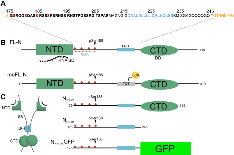 Figure 1