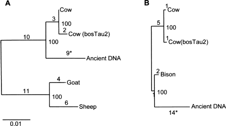 Figure 5.