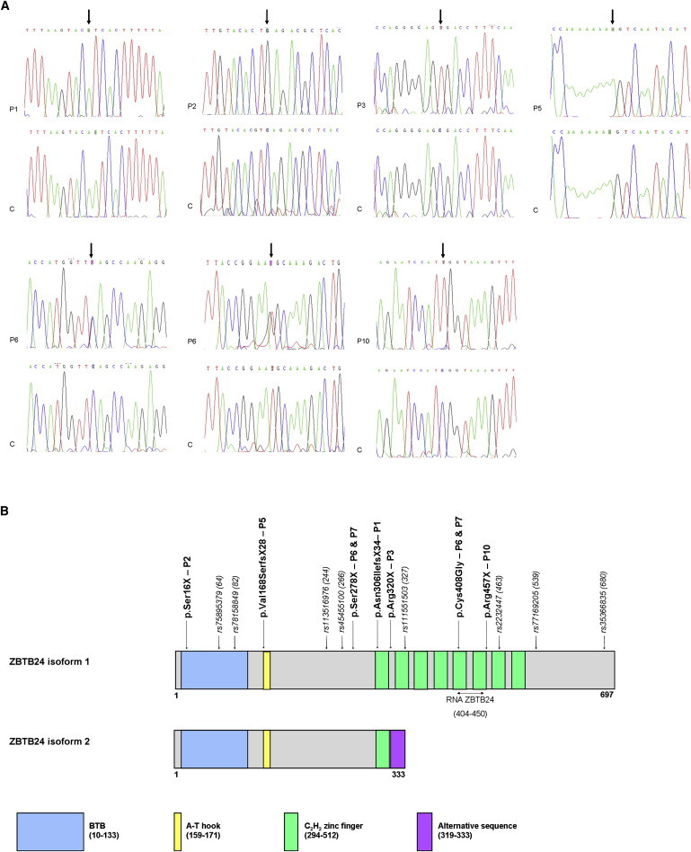 Figure 2