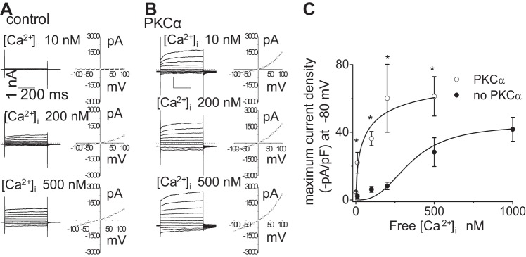 Fig. 7.