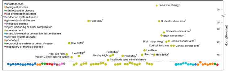 Figure 3