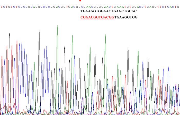 Figure 3