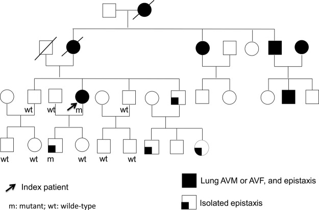 Figure 1