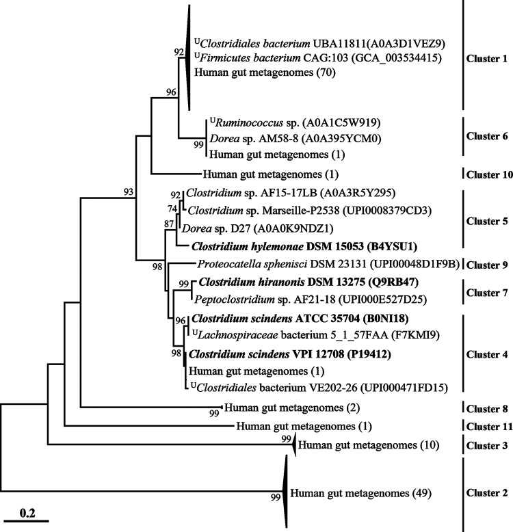 FIG 2