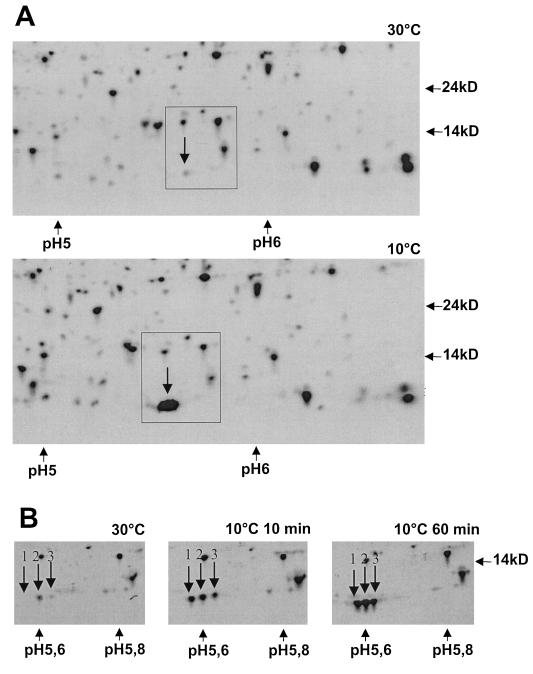 FIG. 5