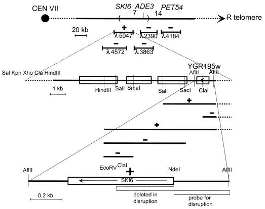 FIG. 1