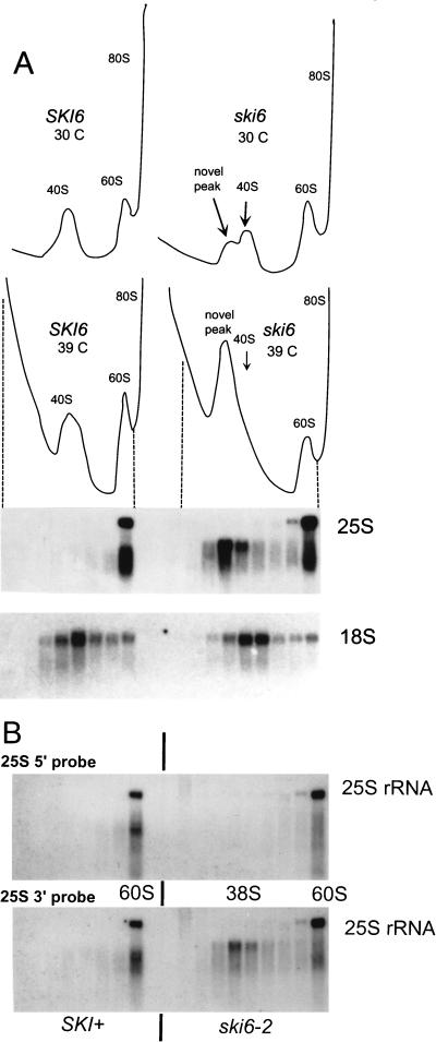 FIG. 7