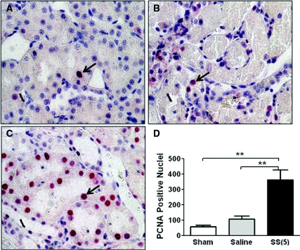 Figure 10.