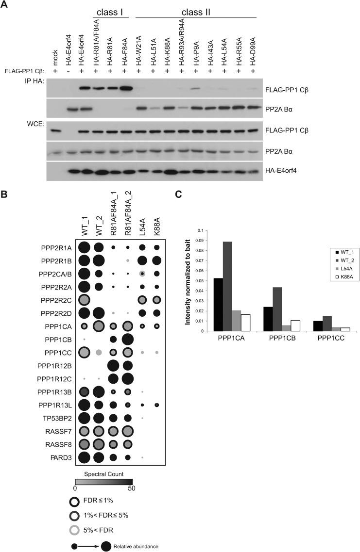 FIG 3