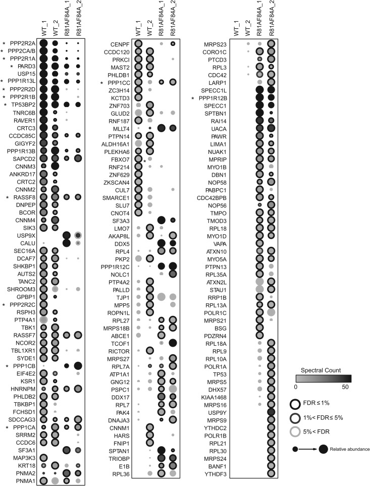 FIG 1