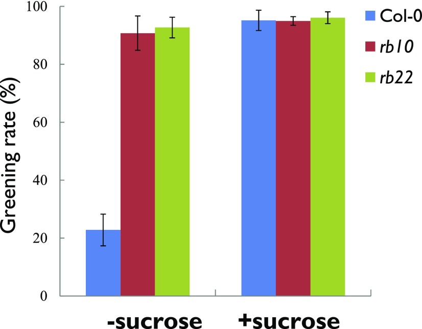 Figure 10.