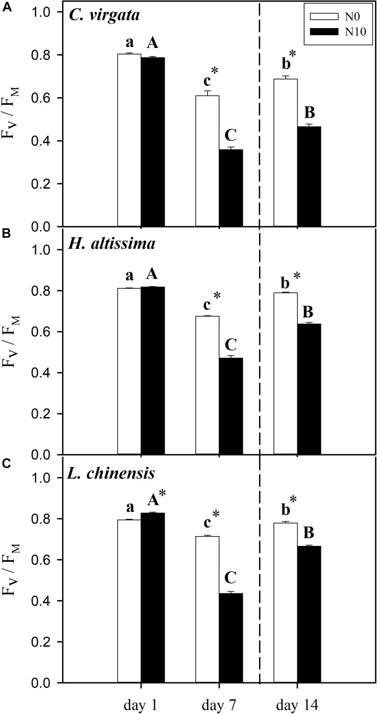 FIGURE 4