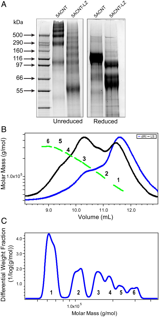 Fig. 6.