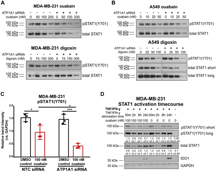 Figure 6