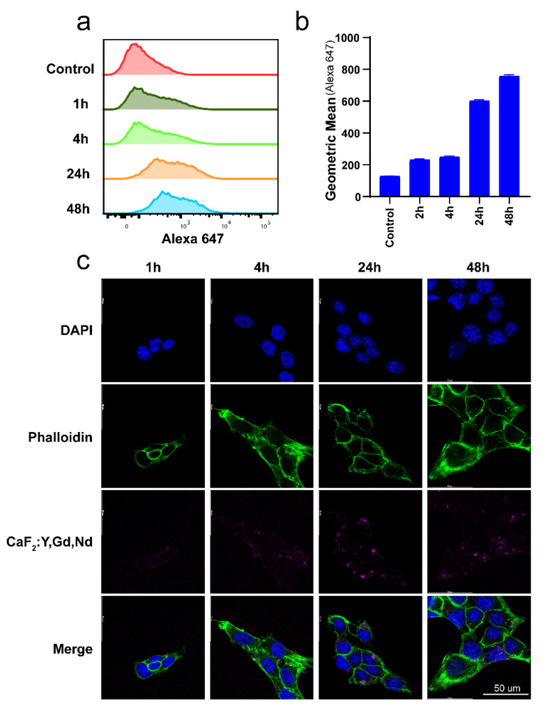 Figure 6