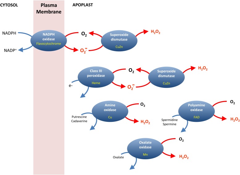 Figure 2.