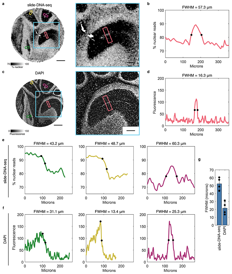 Extended Data Figure 4: