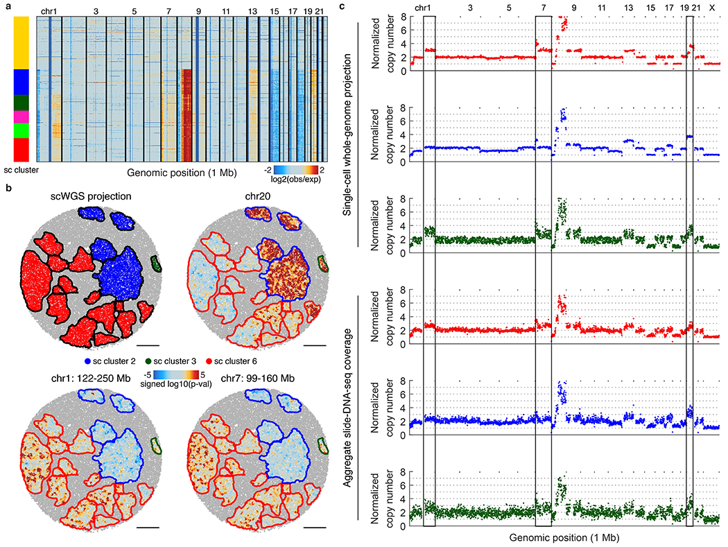 Extended Data Figure 13: