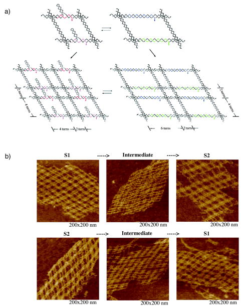 Figure 21